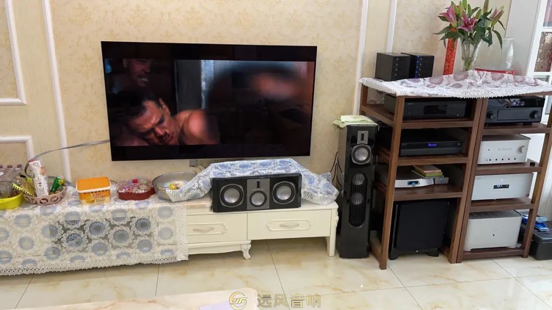 德宝 quadral 罗丹 9 5.1 多声道客厅影院